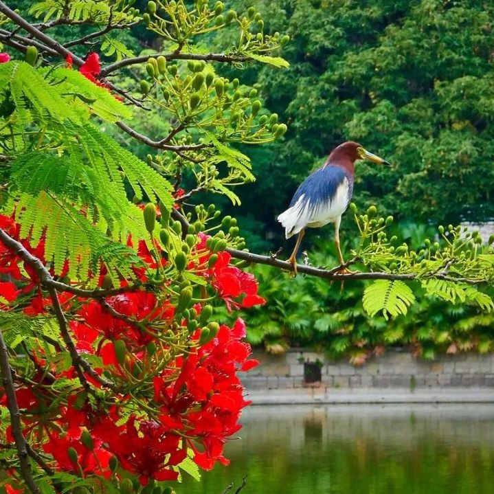 初夏吃什么好？